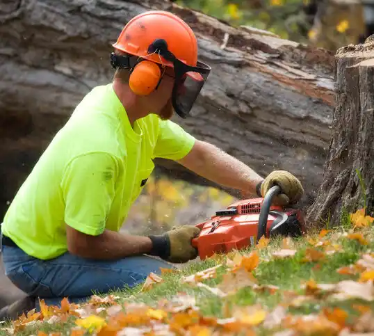 tree services Union Star